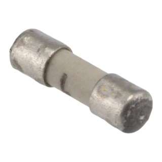 Schurter Non-Resettable Fuse 1A 125V AC/DC Ceramic Body Quick Acting F MKF Series 7010.9810.63