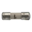 Schurter Non-Resettable Fuse 1A 125V AC/DC Ceramic Body Quick Acting F MKF Series 7010.9810.63
