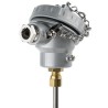 RS PRO Type K Mineral Insulated Thermocouple 250 mm Length, 6 mm Diameter, -40 °C to 1100 °C 787-7810