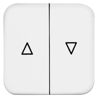 Busch Jaeger - ABB White Thermoplastic Light Switch Cover 54mm x 54mm x 20mm 2504-214