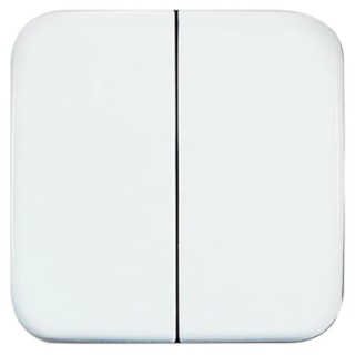Busch Jaeger - ABB White 2 Gang Light Switch Cover 2505-214