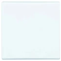 Busch Jaeger - ABB White 1 Gang Blanking Plate 2106 - 32