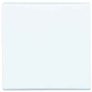 Busch Jaeger - ABB White 1 Gang Blanking Plate 2106 - 32