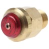 Reliance Water Controls 16 bar Anti-Vacuum Valve Brass Body Male MBSP Inlet Thread ADMT503001