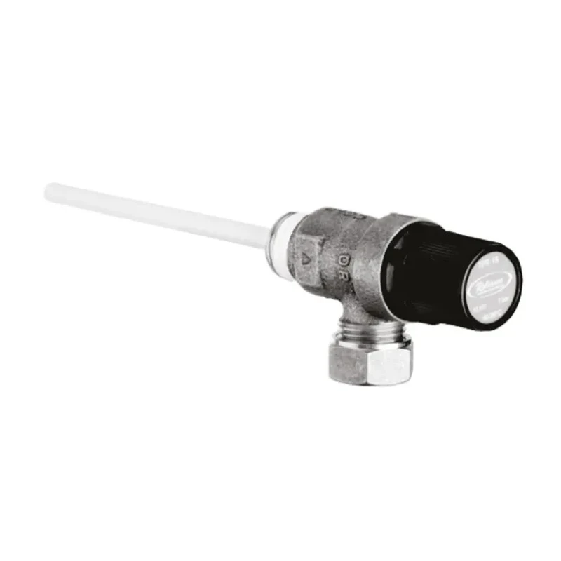 Reliance Water Controls 10 bar Temperature & Pressure Relief Valve With 15 to 22 mm² PTEM550752