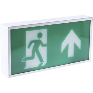 RS PRO Maintained LED Emergency Lighting 3W 230V Steel Housing Arrow Legend 795-9372