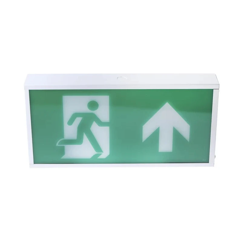 RS PRO Maintained LED Emergency Lighting 3W 230V Steel Housing Arrow Legend 795-9372
