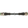 Murrelektronik Limited Male 4 Way Straight to Female 4 Way Straight Sensor Actuator Cable 600 mm 250V 7000-40021-6340060