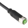 Murrelektronik Limited Sensor Actuator Cable Female 3 way Straight to 3 way Unterminated, Polyurethane 7000-08041-6301000