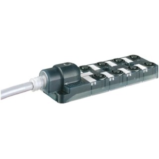 Murrelektronik Limited EXACT12 Series Sensor Actuator Cable 8 Port 24V 5m IP65 IP67 