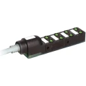 Murrelektronik Limited EXACT8 Series Sensor Actuator Cable, 8 Port, 5 m, Plastic Housing, IP67/IP65, 24V MAX, Germany EXACT8