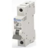 Europa Miniature Circuit Breaker 1-Pole 32A Type B 240V AC 6kA Breaking Capacity EUB1