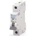 Europa Miniature Circuit Breaker 1-Pole, 63A, Type B, 240V AC, 6 kA Breaking Capacity EUB1