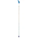 Brannan Immersion Glass Thermometer 150 °C Maximum Temperature Measurement Model 44/803/8