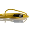 Phoenix Contact Female 4 Way Straight to 4 Way Unterminated Sensor Actuator Cable 2 m 1406246