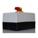 Eaton 3-Pole Surface Mount Isolator Switch, 296A, 45 kW, IP65, Red Handle, 415V AC, DMM Series, 