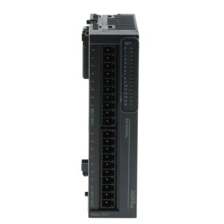 Schneider Electric PLC Digital Output Module TM3, DIN Rail Mount, 240V AC 30V DC, TM3DQ16R