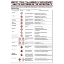 RS PRO Dangerous Substances Safety Wall Chart Polypropylene English 600mm x 420mm 823-3671