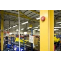 Eaton Solista LX Ceiling Series Red Beacon 60V DC Flashing LED Bulb IP65 IP33C 812023FULL-0260X