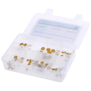 Vishay Through Hole Ceramic Capacitor Kit 10 Pieces AEC-Q200 Compliant 300V-440V Non-Polar Ceramic Dielectric AY21KITHF