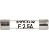 Schurter 6.3A Fast Acting Ceramic Cartridge Fuse 6.3 x 32 mm 500V AC 8020.5076.G