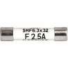 Schurter 2A F Ceramic Cartridge Fuse 6.3 x 32 mm 500V AC Fast Acting SHF 6.3x32 8020.5071.G