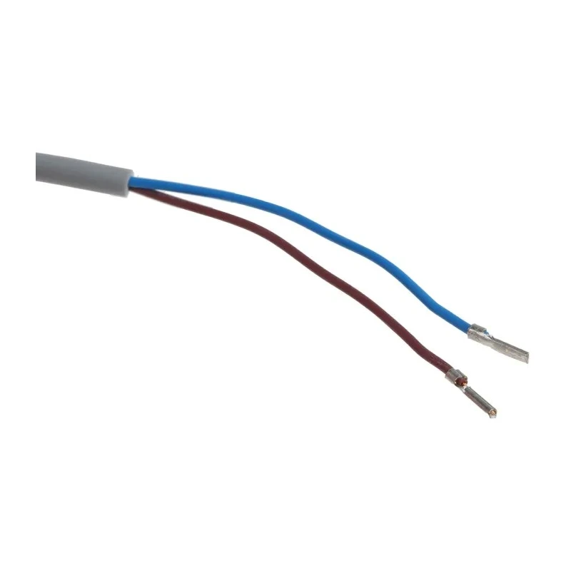 Pepperl + Fuchs Threaded Barrel Inductive Proximity Sensor M12 x 1 2-Wire 30V dc 4 mm Detection 100mA NBN4-12GM40-Z0