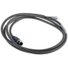 Turck Male 5 Way M12 to Female 5 Way Polyvinyl Chloride Sensor Actuator Cable 2 m RSC 572-2M