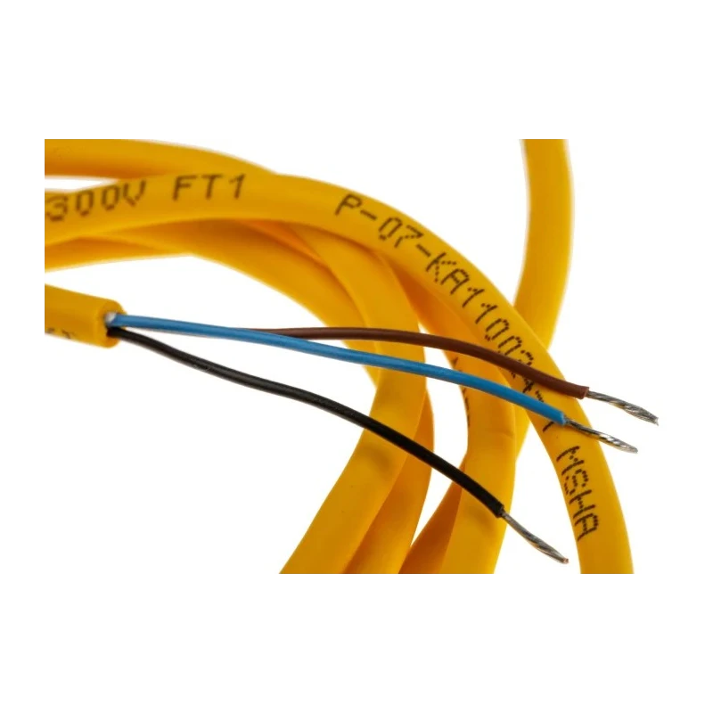 Turck Sensor Actuator Cable Female 3-Way M8 to Unterminated, 2 m Length PKW3M-2