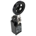 Omron D4n Series Adjustable Roller Lever Limit Switch, 1 NO/1 NC, IP67, Plastic Housing 