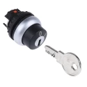 Eaton M22 2-Position Key Switch Head, Flat Key, Latching Operation, IP66, 22 mm Cutout 229092 M22-WRS-A1