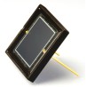 OSI Optoelectronics Ultraviolet Photodiode, 65° Half Sensitivity Angle, Through Hole Ceramic Package PIN-UV-100DQC