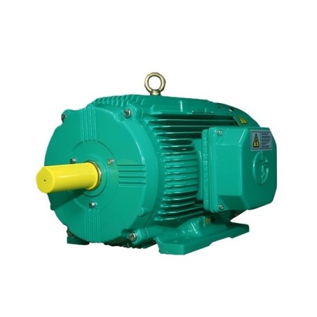 Crompton PC132M 7.5 HP Super Premium Efficiency Motor Image-1