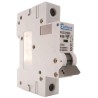 Europa Miniature Circuit Breaker 1-Pole 50A Type B 400V AC 10 kA Breaking Capacity EUC1P