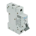 Europa Miniature Circuit Breaker 1-Pole, 2A Current, Type C Tripping, 400V AC, 10 kA Breaking Capacity EUC1P