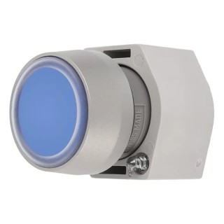 EAO 04 Series Blue Round Flush Momentary Push Button Head Plastic 29mm IP65 