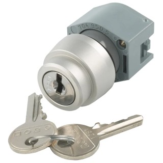 EAO IP65 Key Switch 2-Way Maintained Reset, Straight Key, Round Bezel, Screw Terminal 