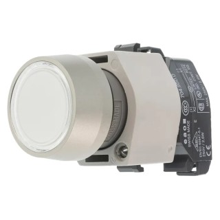 EAO 04 Series Clear Momentary Push Button Head, 22.5 mm Cutout, Flush Plastic, IP65 704.032.7