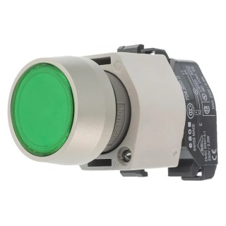 EAO 04 Series Green Momentary Push Button Head, 22.5mm Cutout Diameter, Flush Style, Plastic, IP65, 29mm Diameter 704.032.5
