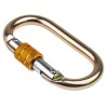 JSP Safety Carabiner Alloy Steel with Screw Lock, 18mm Gate Opening, Tensile Strength 23kN FAR0902