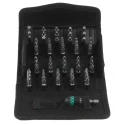 Wera Hex, Phillips, Pozidriv, Slotted, Torx Screwdriver Bit Set 1/4-Inch Drive, 61 Pieces 05057122001