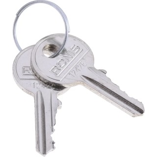 Rittal 2-way Spanner Lock Key Standard Set of 2 Keys FR8900130