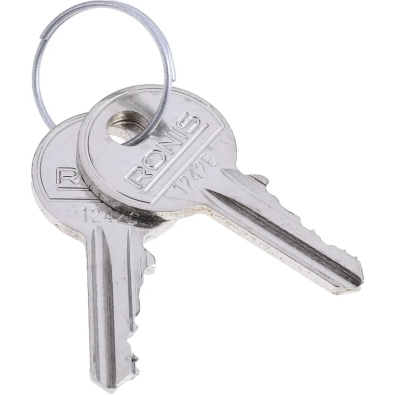 Rittal 2-way Spanner Lock Key Standard Set of 2 Keys FR8900130