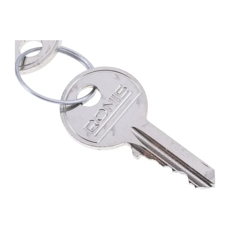 Rittal 2-way Spanner Lock Key Standard Set of 2 Keys FR8900130