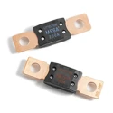 Littelfuse MEGA Time Delay Car Fuse 300A 32V DC Grey 0298300.ZXH