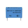 TDK B81123 Film Capacitor 1 nF 500V AC 3 kV DC Through Hole 2 Pins B81123C1102M000