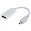 RS PRO USB 3.1 C Type Male to DP Female USB Video Adapter 895-0543