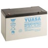 Yuasa 12 V Sealed Lead Acid Battery 100 Ah AGM Valve-Regulated Rechargeable Battery NPC100-12