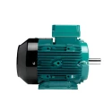  Crompton GD90L 3 HP Premium Efficiency Motor Image-3