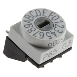 Hartmann Slot Rotary Coded DIP Switch Through Hole Angular 2.54mm Pitch 42 V max P65THR103L254